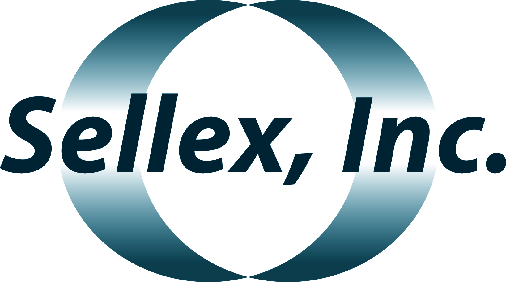 Sellex Inc